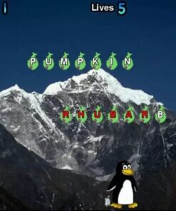 Alternative view of TuxTyping